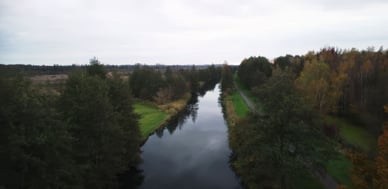 Grüne Tunnel im Biosphärenreservat Spreewald