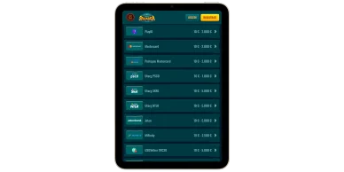 Depositi e prelievi su Spinanga Casino Metodi di pagamento Spinanga