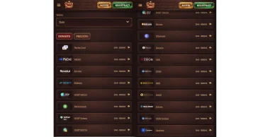 Metodi di pagamento CrazyTower