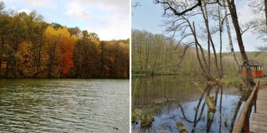 Шелехівське озеро