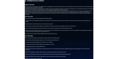 Testo Privacy Policy in inglese Sezione Privacy Policy