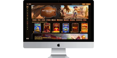 Homepage Lizaro