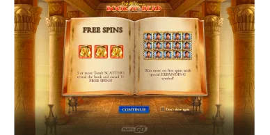 Free spin sulle slot Book of Dead