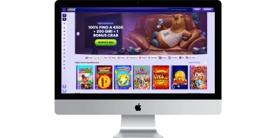 Home Page Spinbara Casino