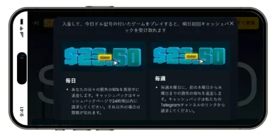 毎日のボーナス