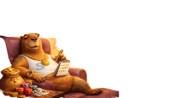 Spinbara bonus valutazione promozioni casino rating offerte