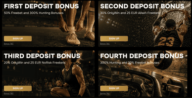 Das Sportangebot von Golden Ring Auswahl an Sportwetten und Wettmärkten bei Golden Ring
