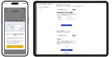 バンドルカードの安全性
