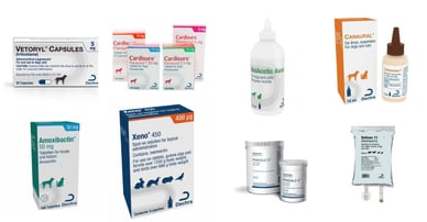 dechra pharmaceuticals manufacturing