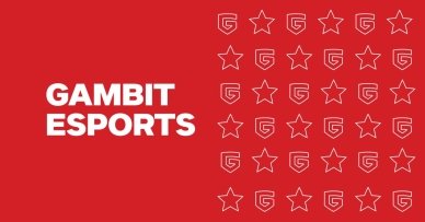 ギャンビット・イースポーツ（Gambit Esports）