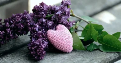 Az anyák napjának szimbóluma Anyák napja