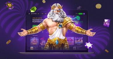 Stone Vegas Partner program