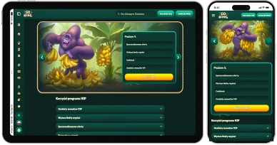 GoKong — VIP program VIP program