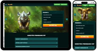 Klub VIP Program VIP w Playio Online Casino
