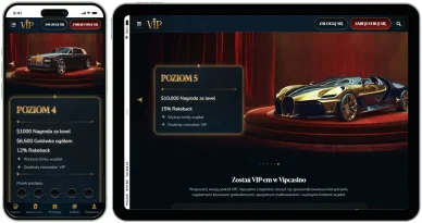 Kasino VIP Program 