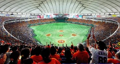 東京ドームでの野球の試合