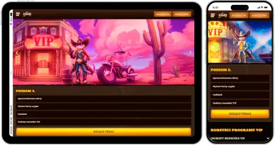 Program VIP kasyna online Lizaro