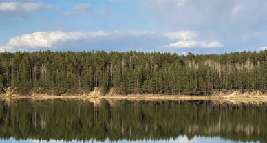 Блакитні озера, Олешня