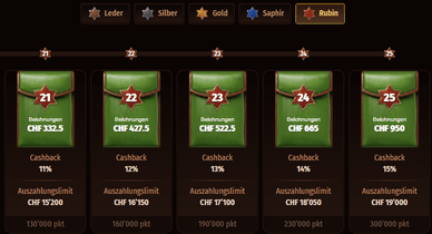 VIP-Programm WestAce: VIP-Programm