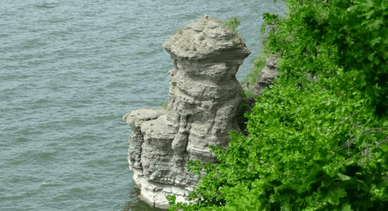 Скеля Курник, Бакота