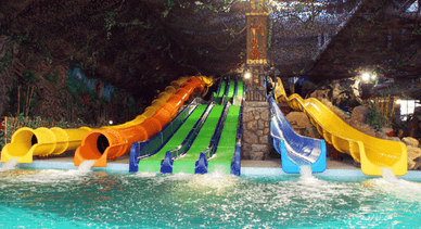 «Джунглі» у Харкові