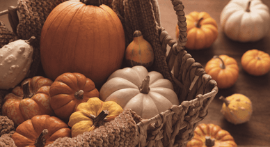 Гарбузи на осінню ярмарку