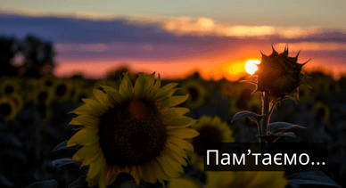 Соняхи — символ Дня пам’яті