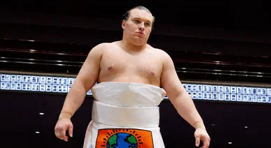 相撲取り安青錦新大