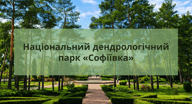 Національний дендрологічний парк «Софіївка»