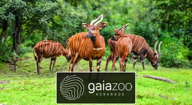 gaiazoo logo