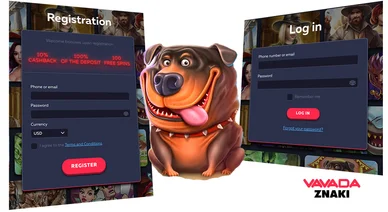 Vavada Casino Login
