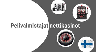 Pelivalmistajat