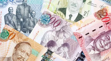 Ботсванская пула