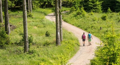 Schönste Wanderwege Deutschlands