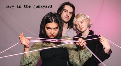 mary in the junkyard