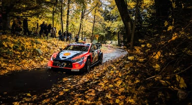 Mitteleuropäische Rallye in Passau 2025: Strecke, Programm & Zuschauer-Tipps