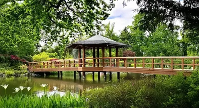 Wrocław Ogród Japoński