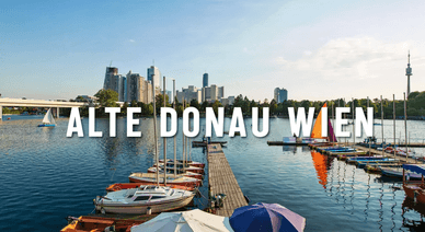 Alte Donau Wien - Altarm der Donau