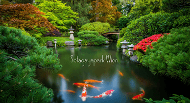 Setagayapark Wien