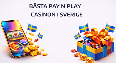 Bästa Pay N Play Casinon - huvudfoto