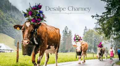 Désalpe de Charmey