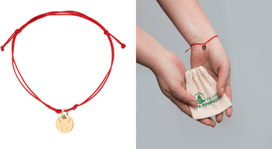 Браслети із зображенням червонокнижної рисі