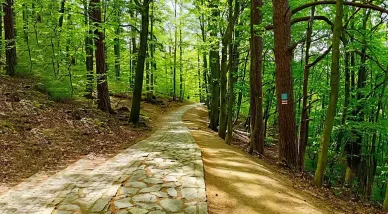 Szlak czerwony Zamek Chojnik — szlak czerwony