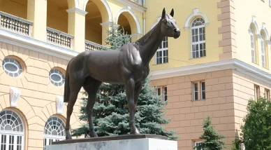 budapesti Kincsem Park