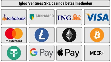Igloo Ventures SRL casinos betaalmethoden