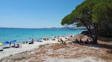 Journée ensoleillée à la Plage de Palombaggia avec parasols colorés. Vacanciers profitant du sable blanc et de la mer turquoise à la Plage de Palombaggia.