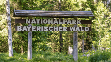 Der Bayerische Wald Nationalpark – Deutschlands ältester Nationalpark