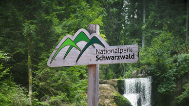 Was macht den Nationalpark Schwarzwald so einzigartig?