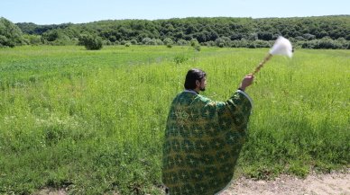 Освячення полів 