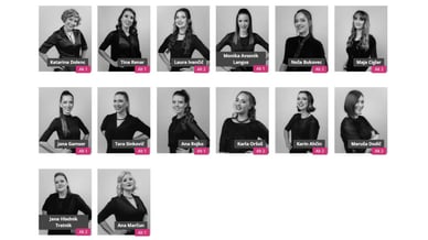 Perpetuum Jazzile Člani